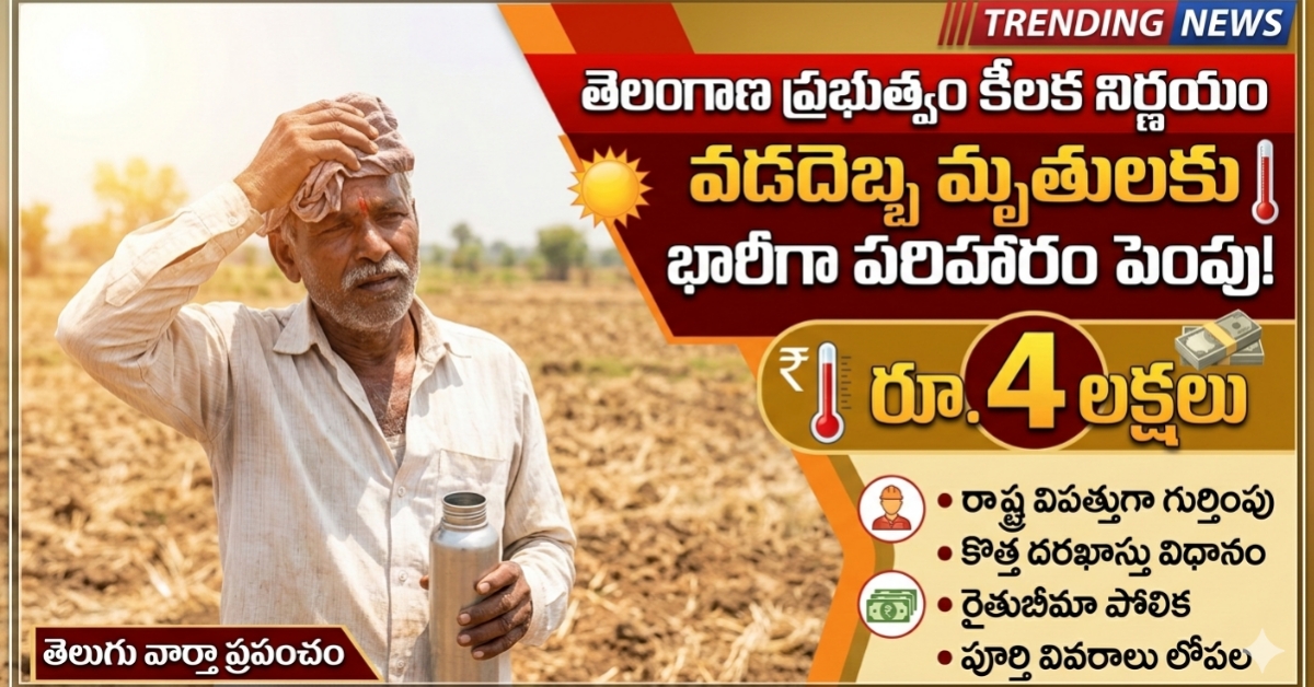 తెలంగాణ: వడదెబ్బ మృతులకు రూ.4 లక్షల పరిహారం.. కానీ ఈ రూల్స్ పాటిస్తేనే!