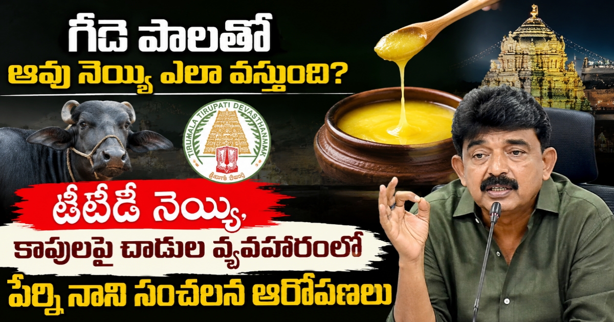 గేదె పాలతో ఆవు నెయ్యి ఎలా వస్తుంది? టీటీడీ నెయ్యి, కాపులపై దాడుల వ్యవహారంలో పేర్ని నాని సంచలన ఆరోపణలు