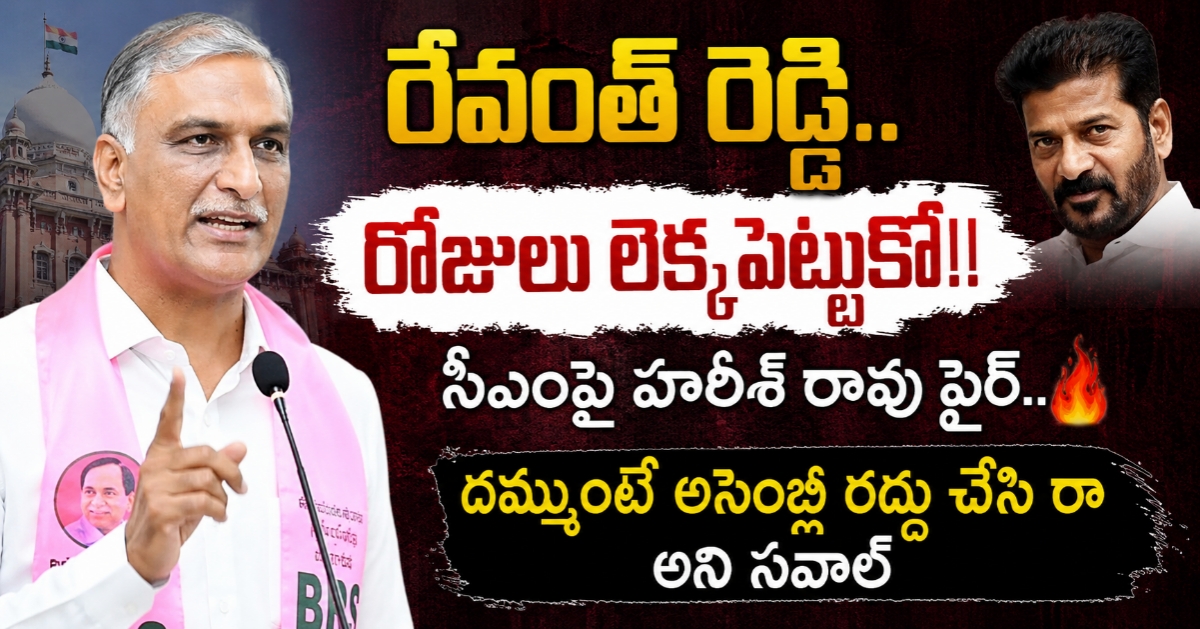 రేవంత్ రెడ్డి.. రోజులు లెక్కపెట్టుకో!” సీఎంపై హరీశ్ రావు ఫైర్.. దమ్ముంటే అసెంబ్లీ రద్దు చేసి రా అని సవాల్